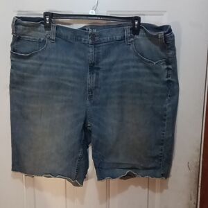 Blue Men's Jean Shorts